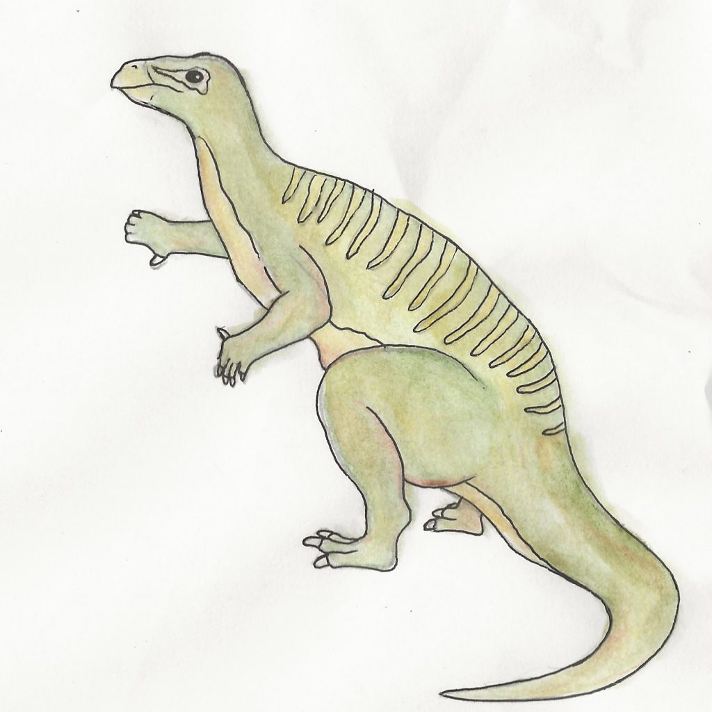 Hand drawn and coloured iguanodon